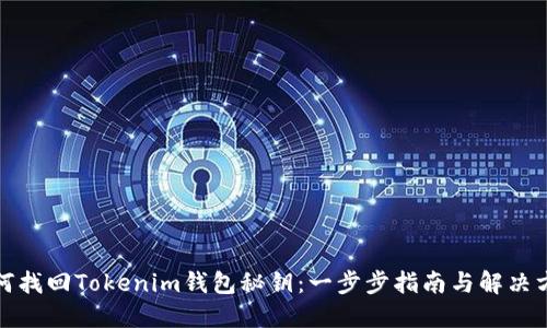 如何找回Tokenim钱包秘钥：一步步指南与解决方案