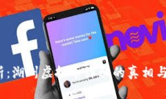  深入解析：湖州虚拟币诈骗的真相与防范策略